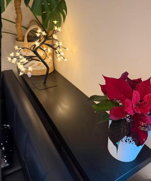 IKEA LACK wandplank – 2x wandplank (11026 cm), goede staat, Ophalen, Zo goed als nieuw