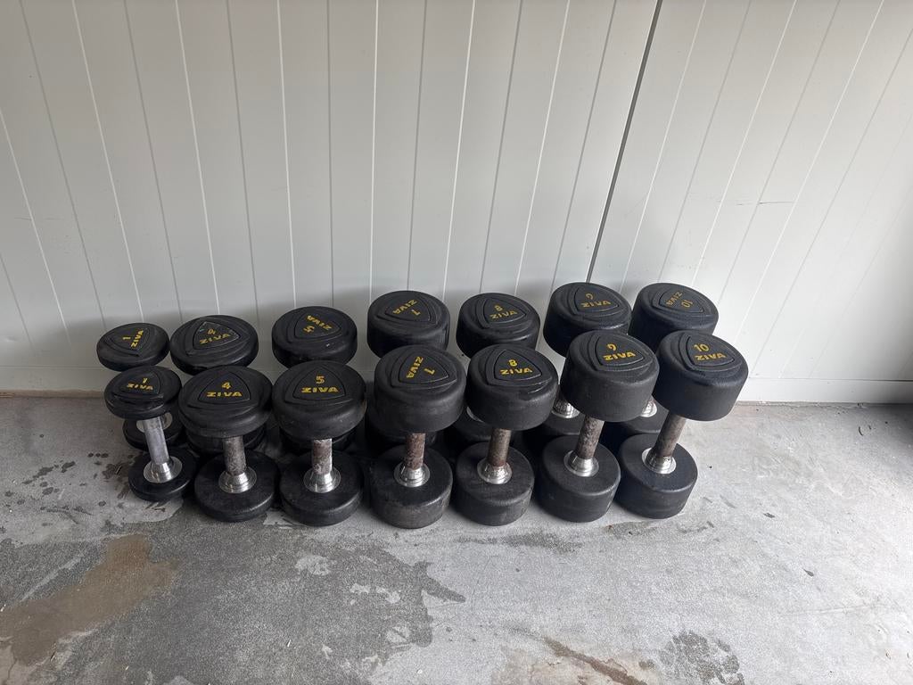 ZIVA PU Dumbbellset 1-10 kg (2x 2, 4, 5, 7, 8, 9, 10 kg), Ziva, Ziva, Zo goed als nieuw, Ophalen
