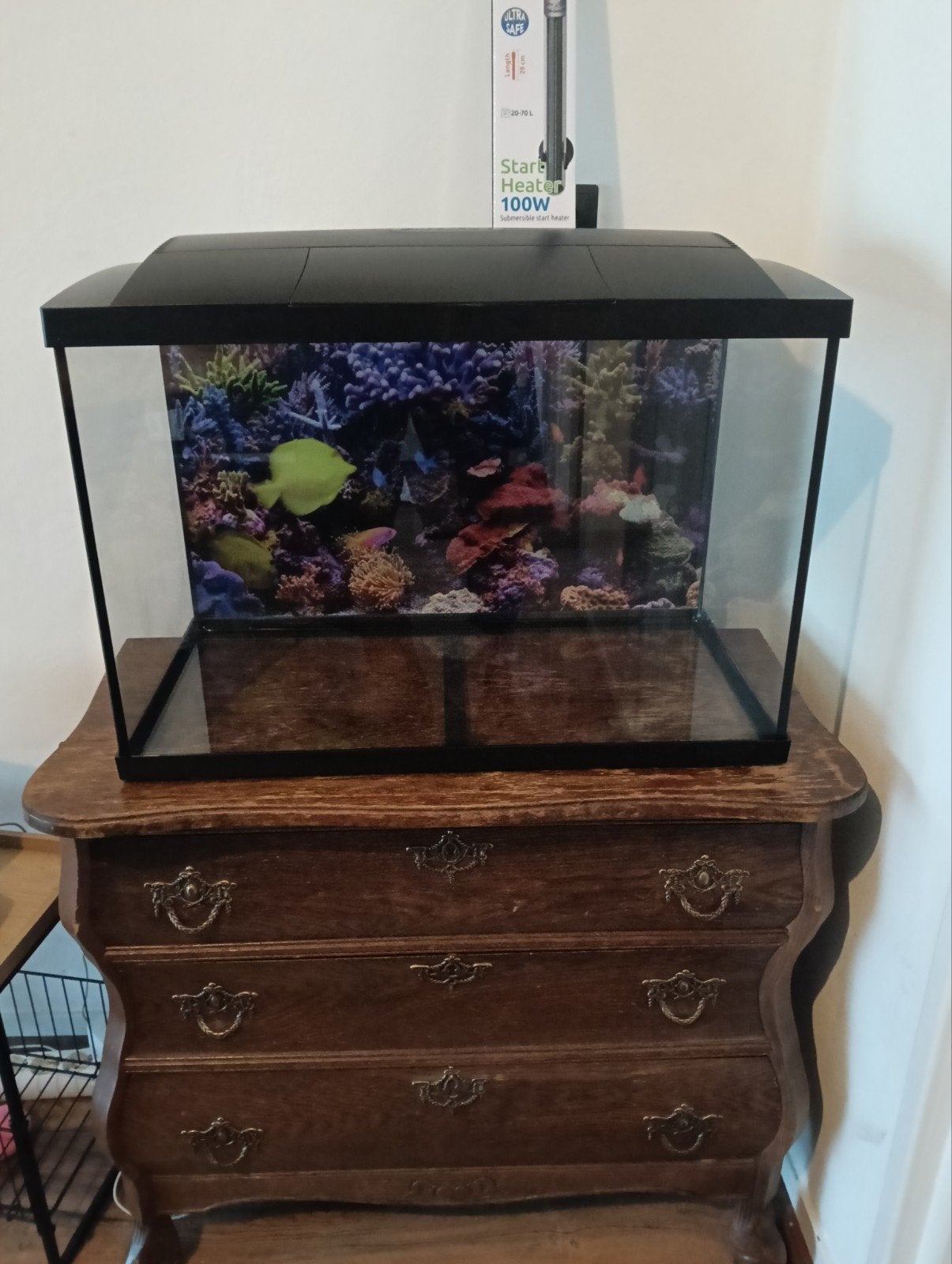 aquarium 60 breed  30 diep 40 hoog., Ophalen, Nieuw, Leeg aquarium