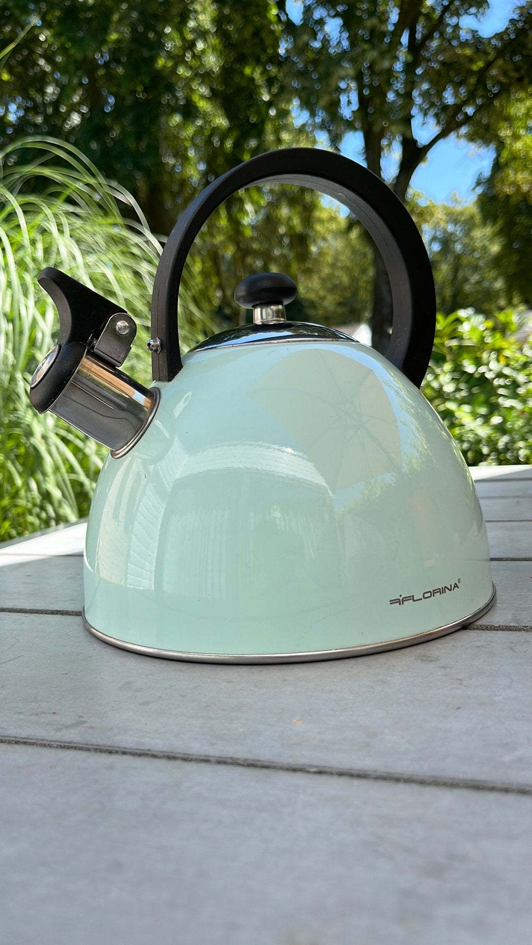 Florina Brillo fluitketel in de kleur mintgroen, 2,5 liter., Ophalen of Verzenden, Gebruikt, Rvs