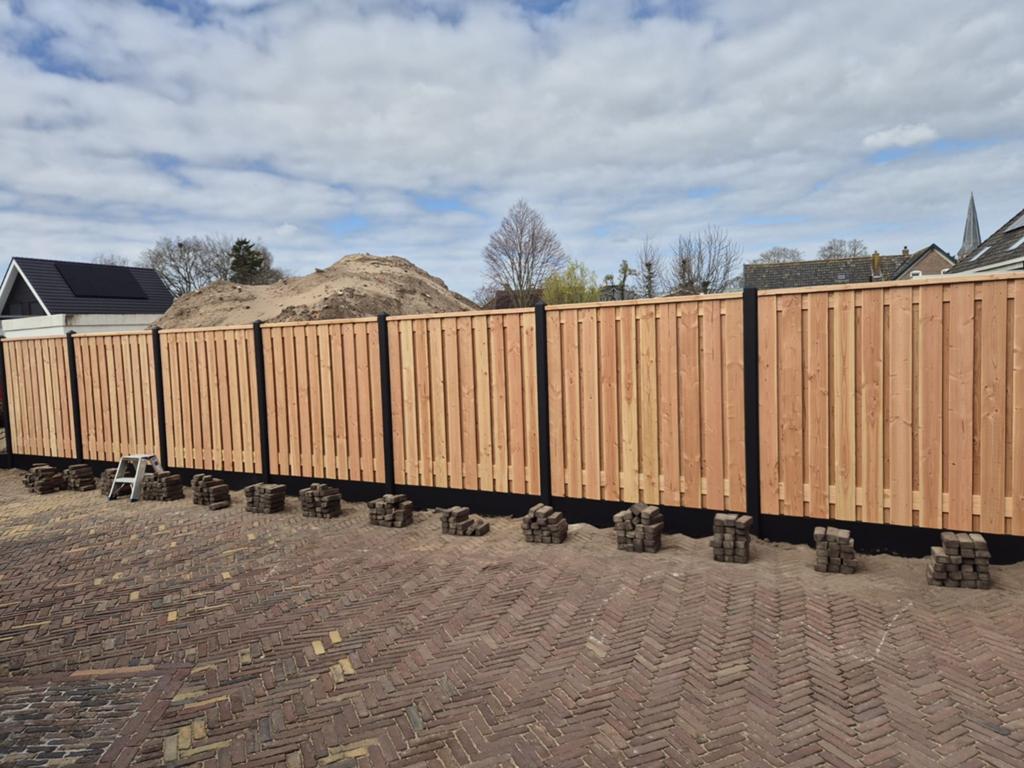 50 stuks douglas schermen te koop nieuw 0624752195, 1 tot 2 meter, Minder dan 3 meter, Nieuw, Ophalen of Verzenden