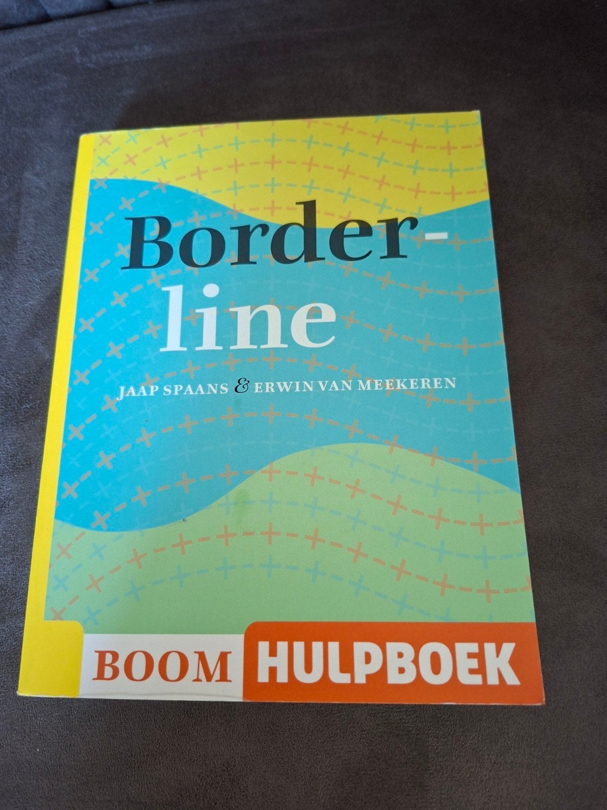 Boom Hulpboek Borderline - Jaap Spaans & Erwin van Meekeren, Ophalen of Verzenden, Zo goed als nieuw, Klinische psychologie, Jaap Spaans & Erwin van Meekeren