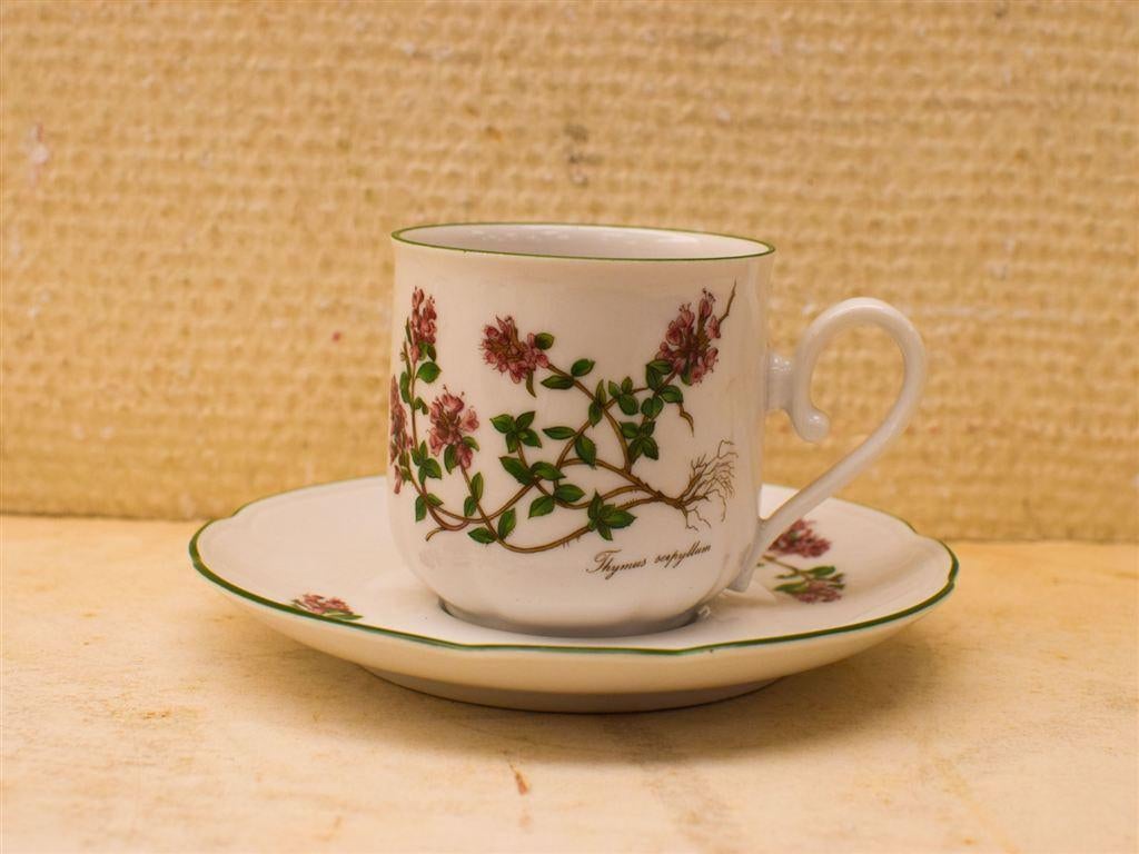 Seltmann weiden porseleinen kop en schotels 51358, Gebruikt, Ophalen of Verzenden, Bord(en), Wedgwood