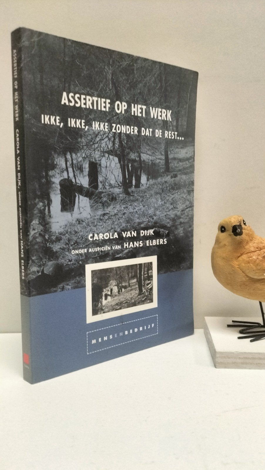 Dijk, Carola van; Assertief op het werk, Ophalen of Verzenden, Gelezen