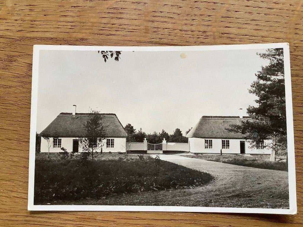 Loenen, fotokaart oorlogsgraven begraafplaats, Ophalen of Verzenden, Landmacht, Nederland, Foto of Poster