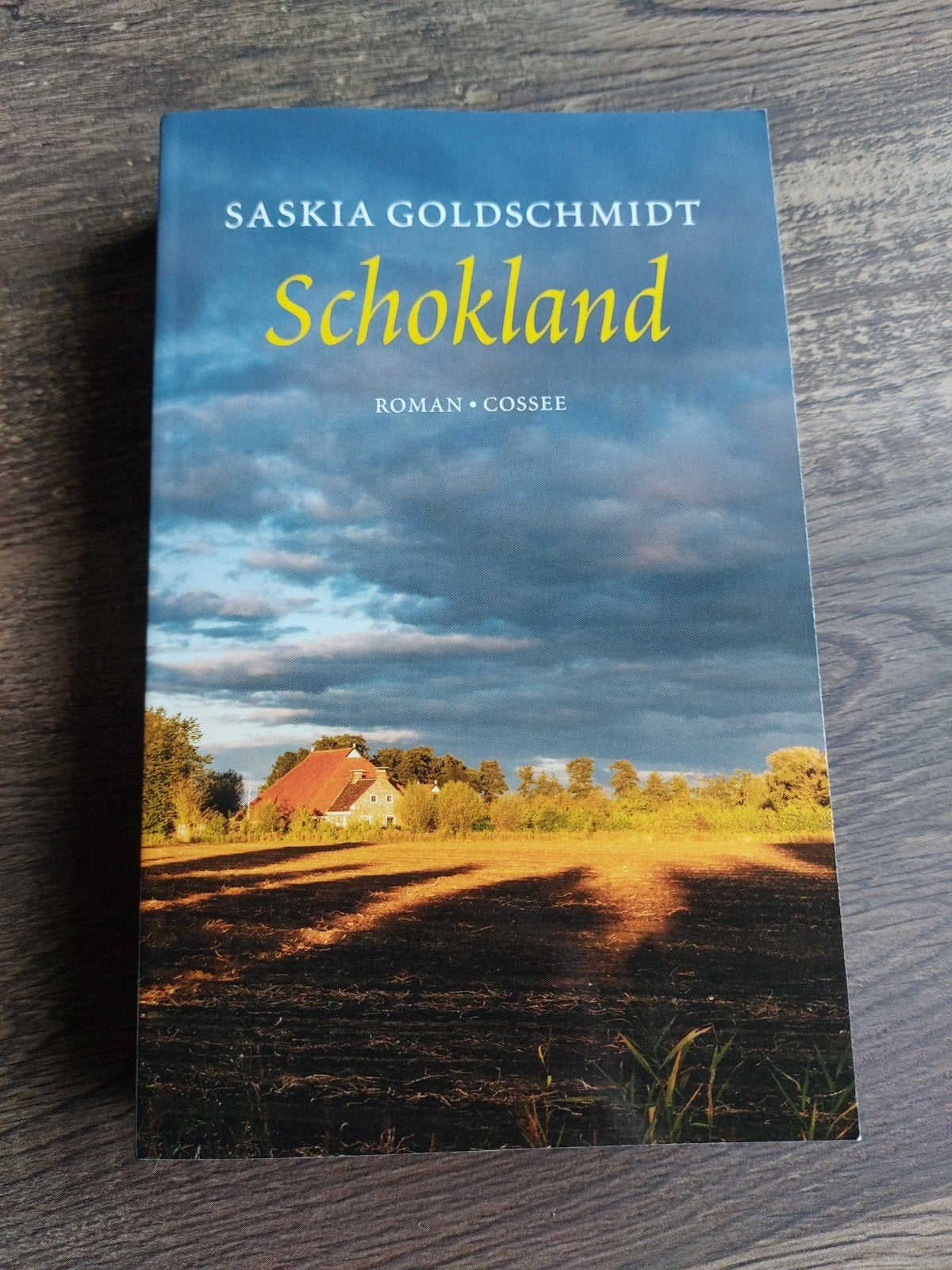 Schokland Saskia Goldschmidt, Verzenden, Zo goed als nieuw