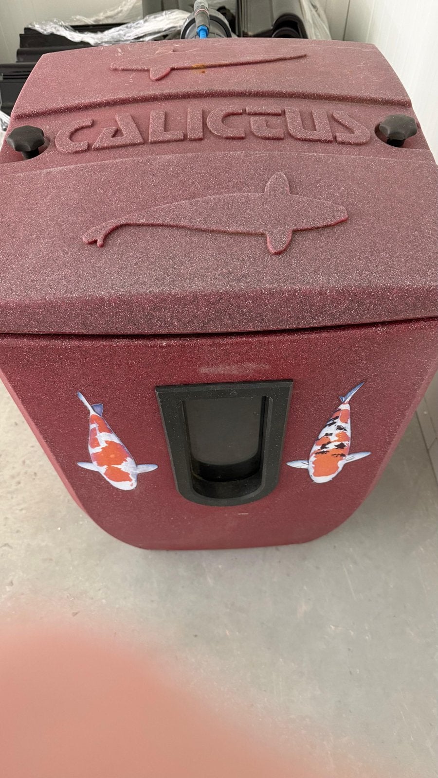 Callictus vijverfilter met vortex voorfilter en panelen, Tuin en Terras, Vijvers, Ophalen, Gebruikt