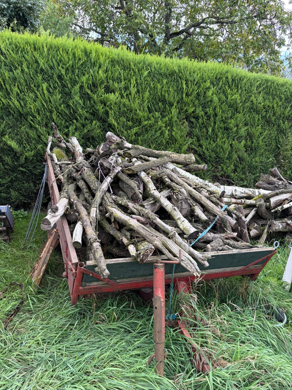 Haard hout, 3 tot 6 m³, Ophalen, Eikenhout, Takken