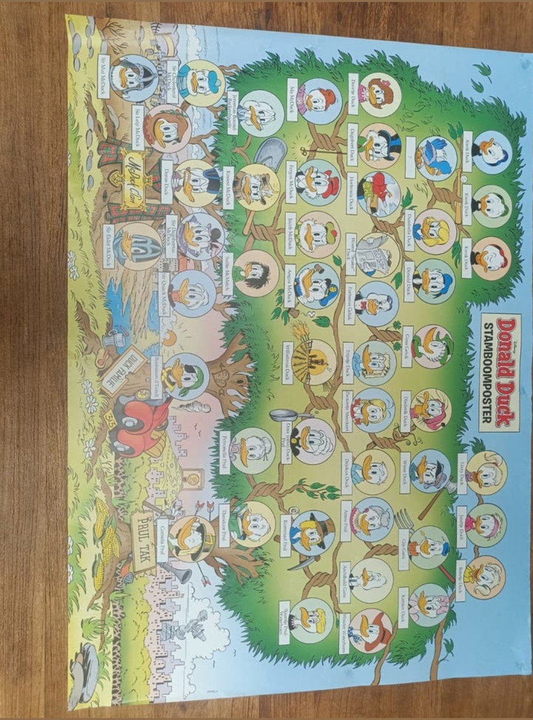 Donald Duck stamboomposter, Ophalen, Donald Duck, Zo goed als nieuw, Plaatje of Poster