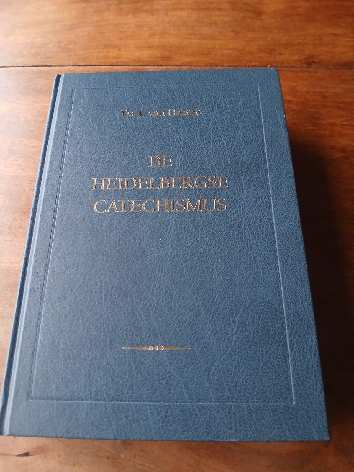 De Heidelbergse Catechismus - Ds. J. van Haaren WD015, Ophalen of Verzenden, Zo goed als nieuw, Ds. J. van Haaren, Christendom | Protestants