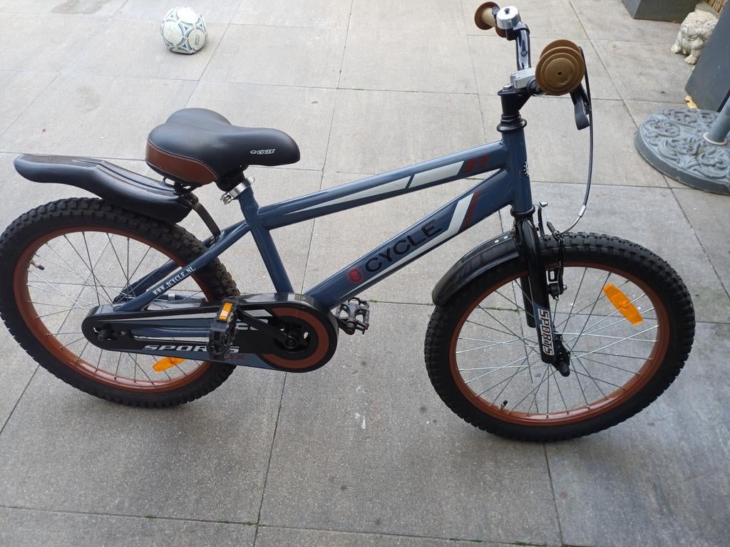 2Cycle Sport Kinderfiets 20 inch, Minder dan 49 cm, Ophalen, Gebruikt, Overige merken