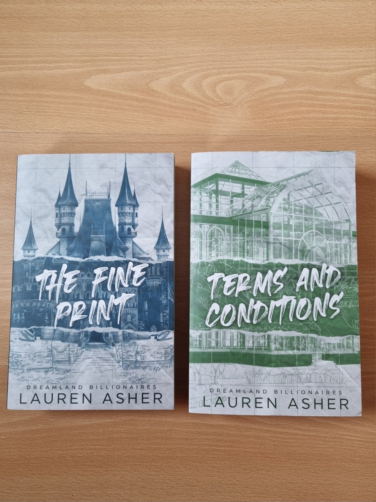 The Fine Print & Terms and Conditions - Lauren Asher, Ophalen of Verzenden, Zo goed als nieuw, Lauren Asher, Europa overig