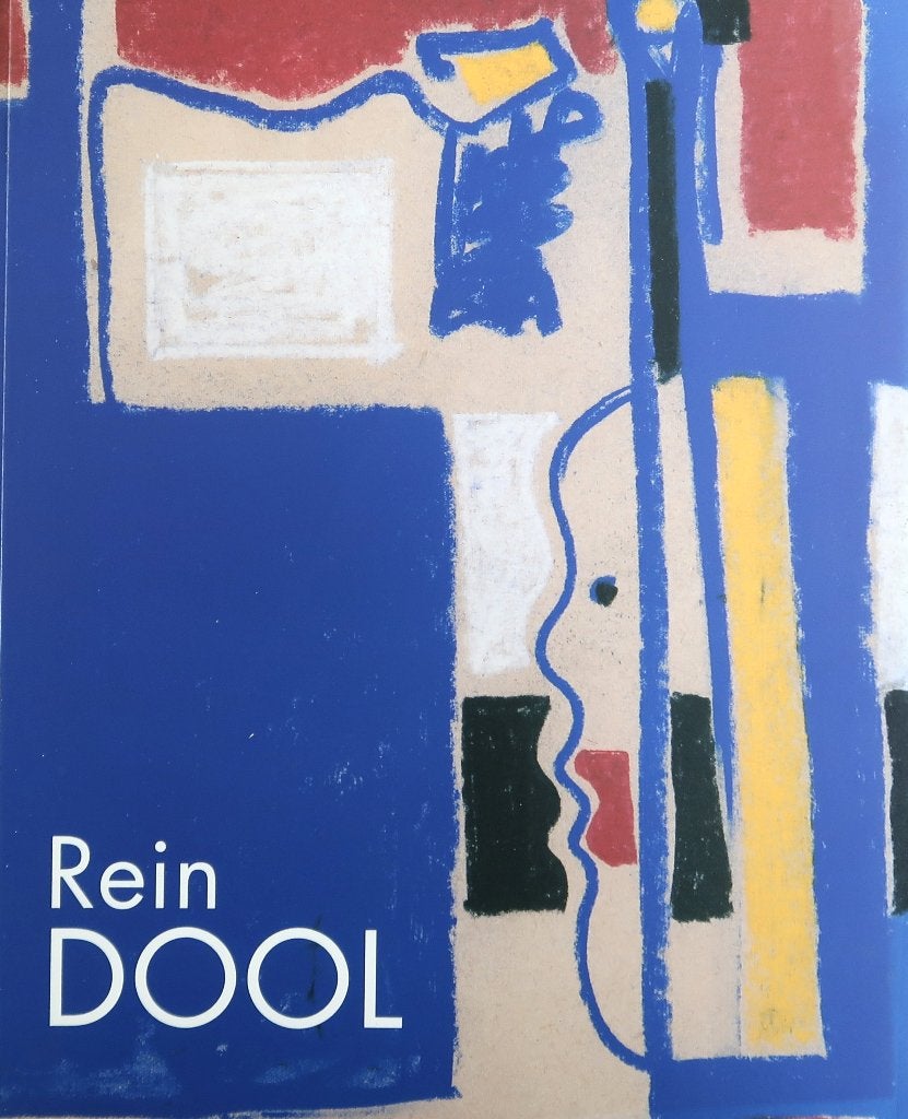 Boek Rein Dool 159 pag veel illust  24x30 cm, Ophalen of Verzenden, Zo goed als nieuw, Schilder- en Tekenkunst