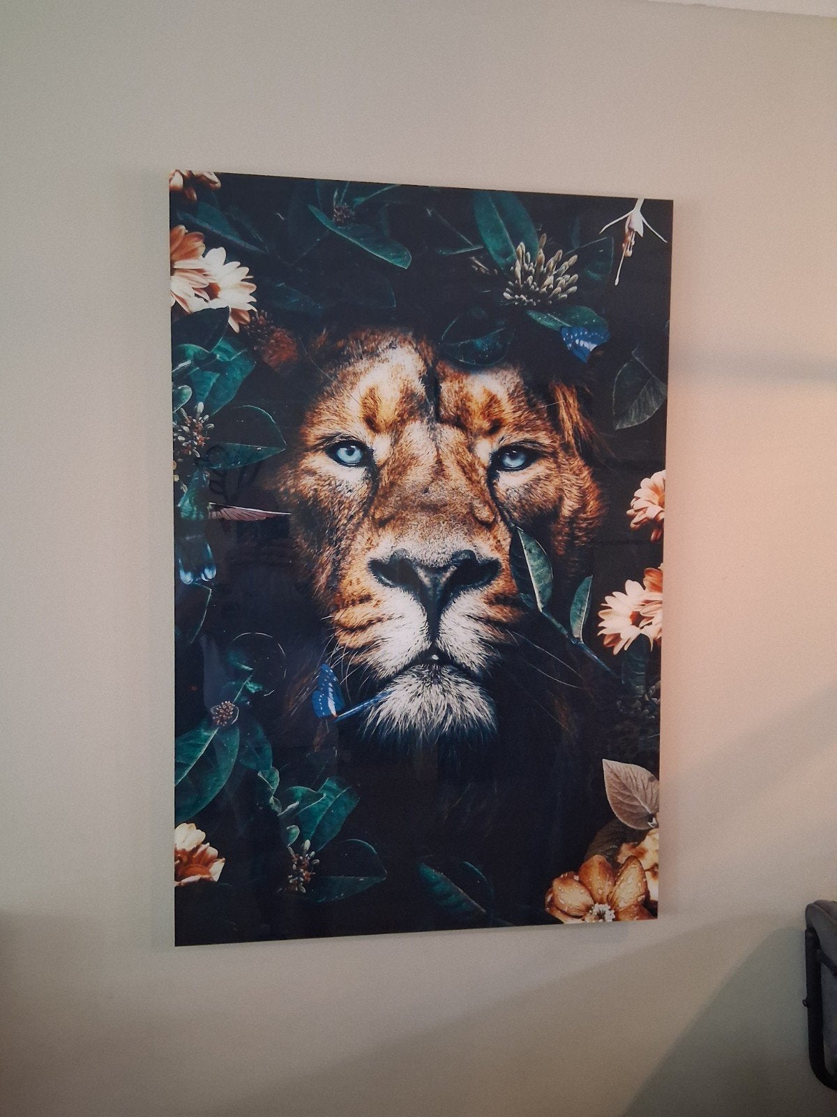 Plexiglas schilderij leeuw 120x80, Ophalen, Zo goed als nieuw, 75 tot 100 cm, Overige typen