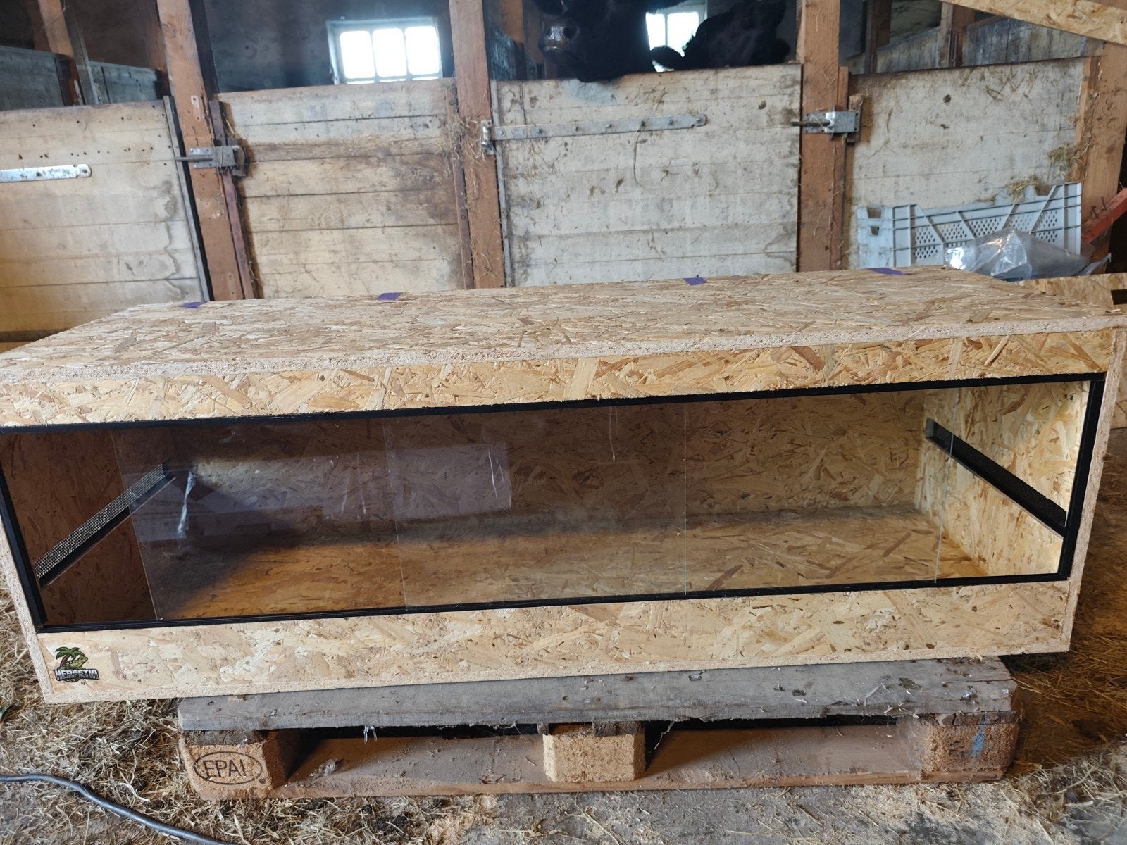 Op maat gemaakte OSB3 terrariums, Dieren en Toebehoren, Reptielen en Amfibieën | Toebehoren, Ophalen, Nieuw, Terrarium of Paludarium