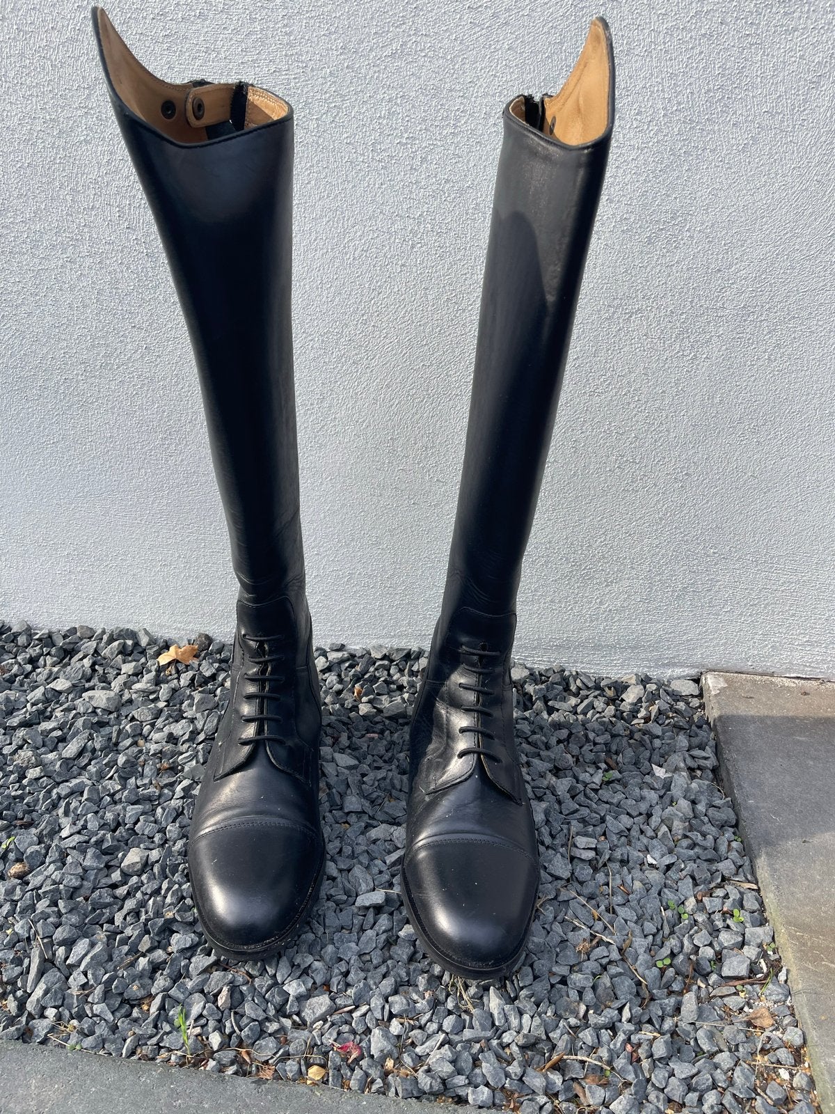 Paard rijlaarzen, Dieren en Toebehoren, Ophalen, Zo goed als nieuw, Dressuur