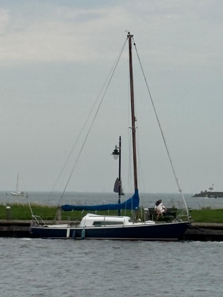 Goed zeilende Van De Stadt Pionier 9 met houten mast, 9 m, Gebruikt, 1.80 meter, Diesel