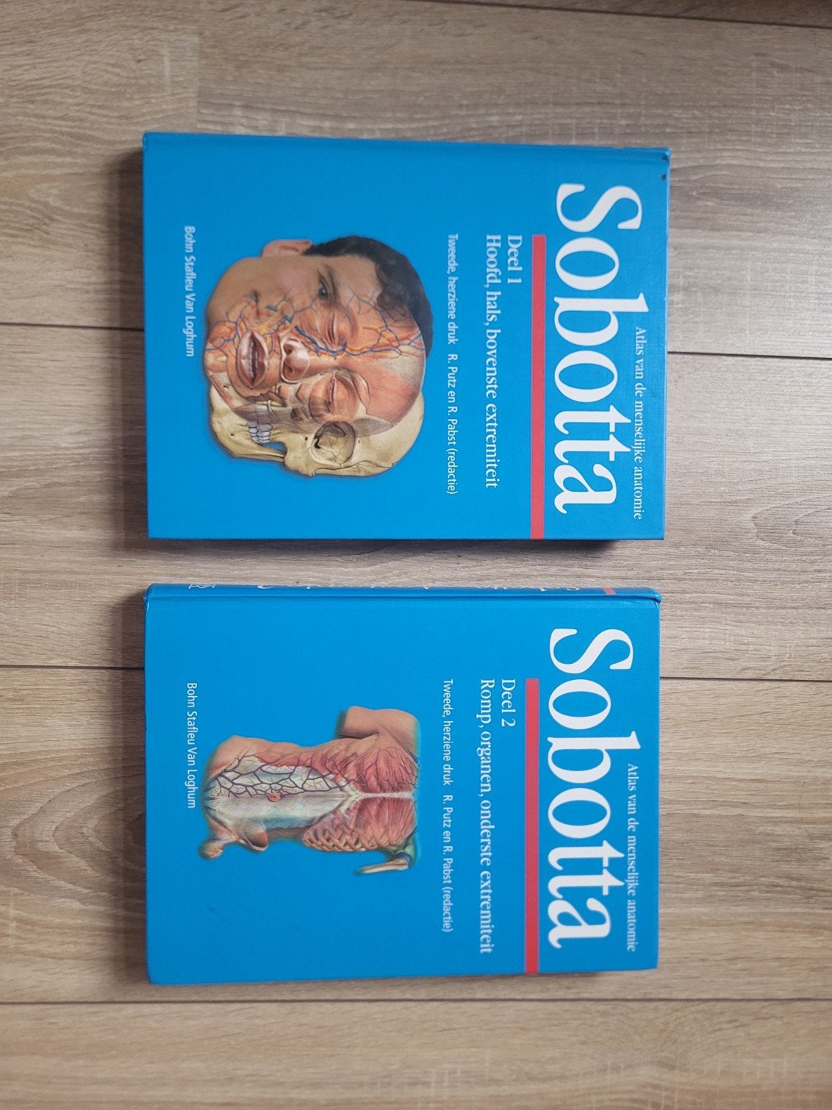 Sobotta Atlas van de menselijke anatomie Deel 1 & 2, Gelezen, R. Putz en R. Pabst (redactie), Ophalen of Verzenden, WO