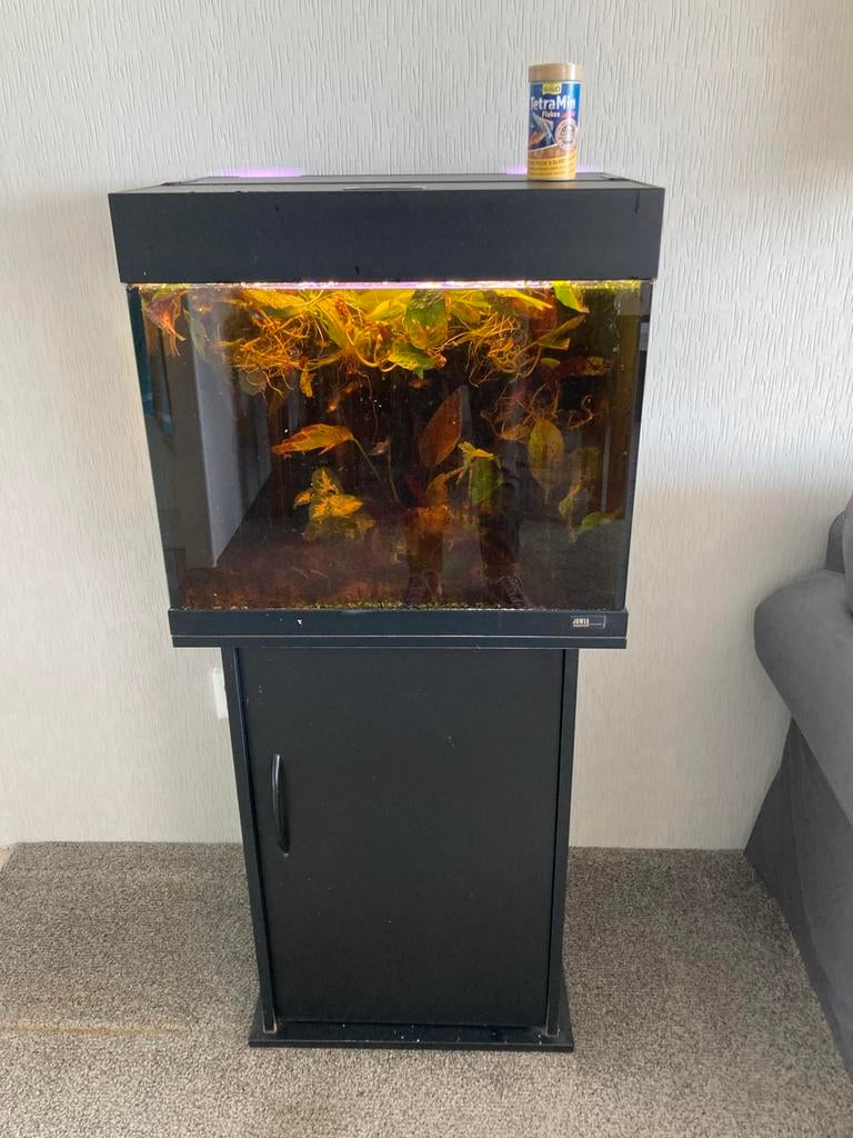 Aquarium + meubel, Ophalen, Gebruikt, Aquariummeubel, Inclusief vissen