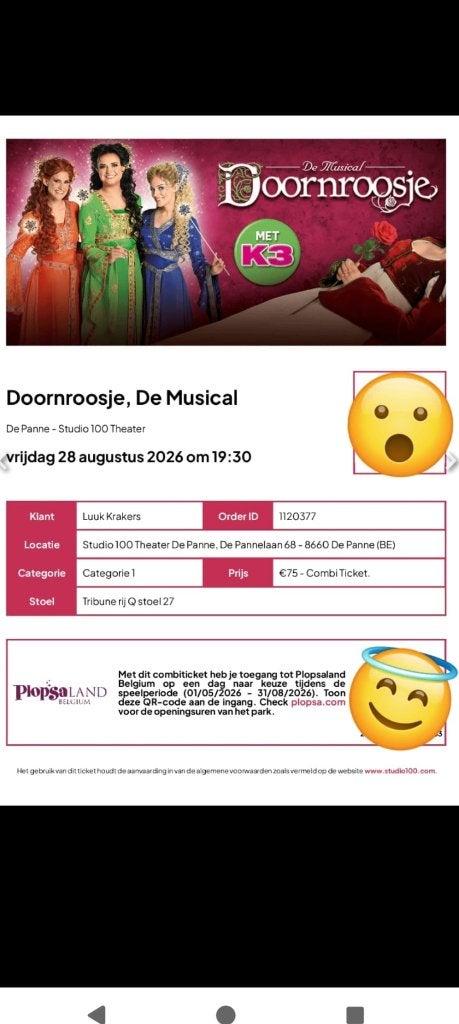 3 Plopsaland tickets, geldig tot eind augustus!, Drie personen of meer, Ticket of Toegangskaart