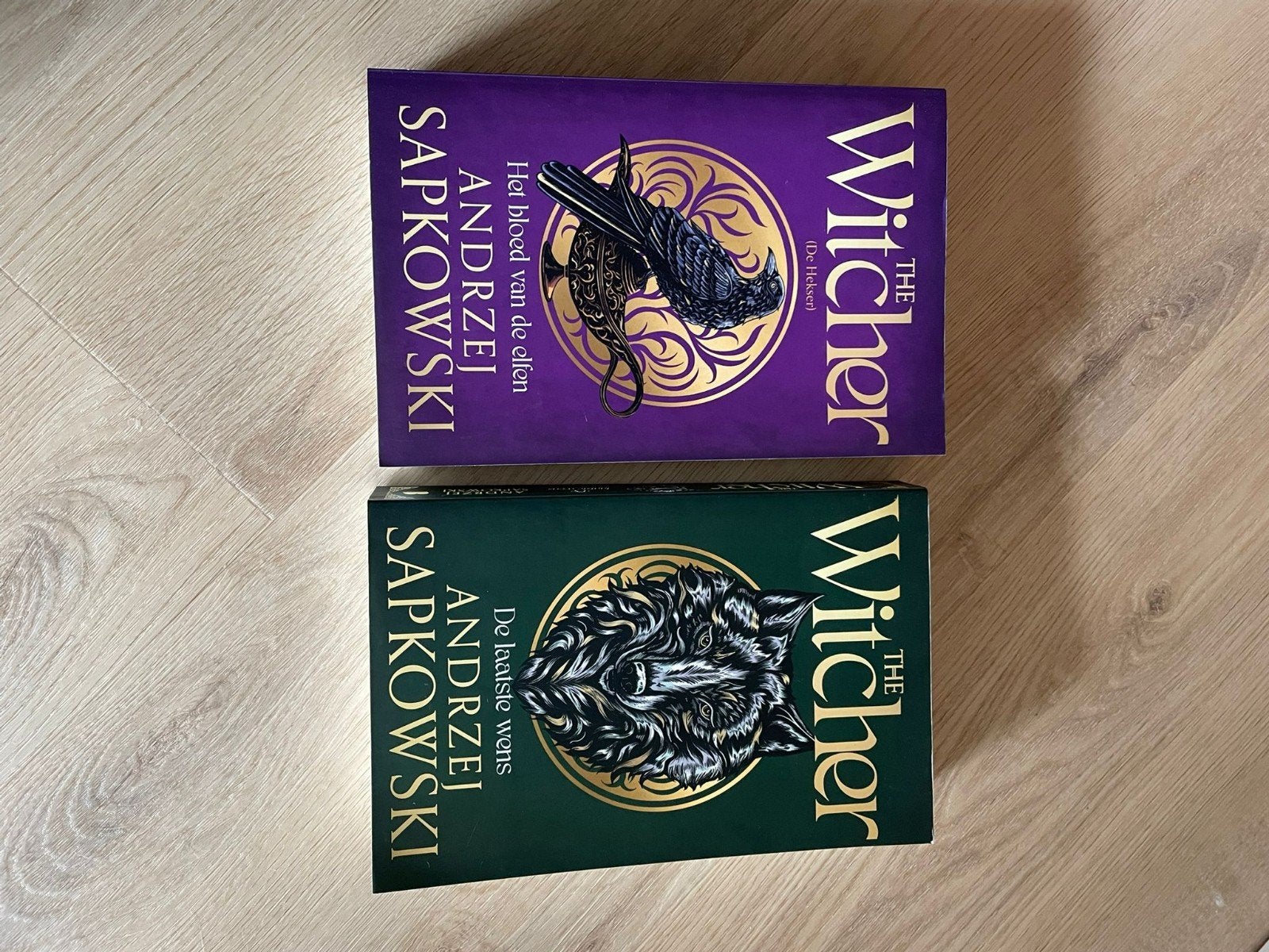 The Witcher Boeken: De Laatste Wens & Het Bloed van de Elfen, Ophalen of Verzenden, Zo goed als nieuw, Andrzej Sapkowski