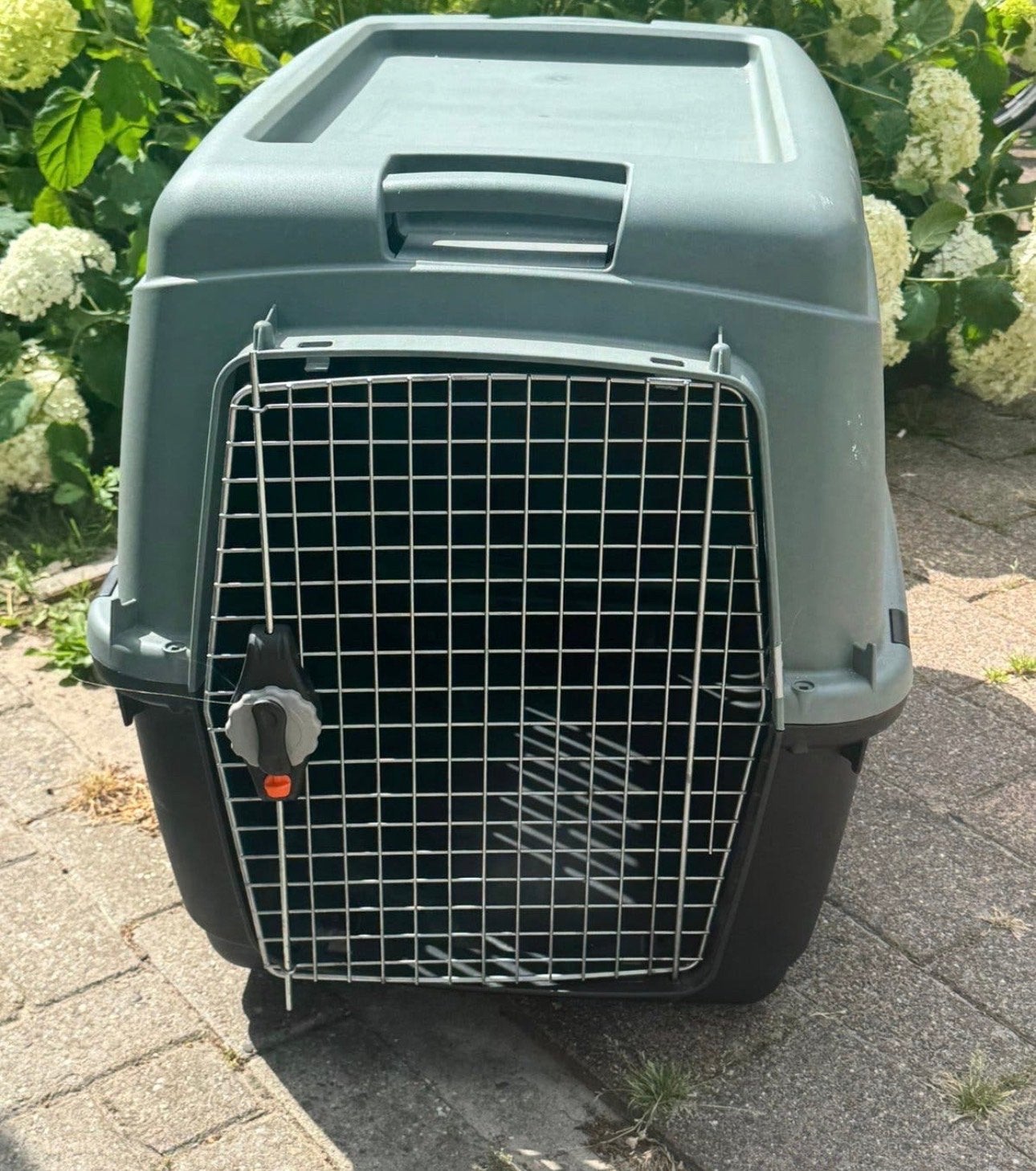 Bench (transport), Dieren en Toebehoren, Transportboxen, Ophalen, Zo goed als nieuw