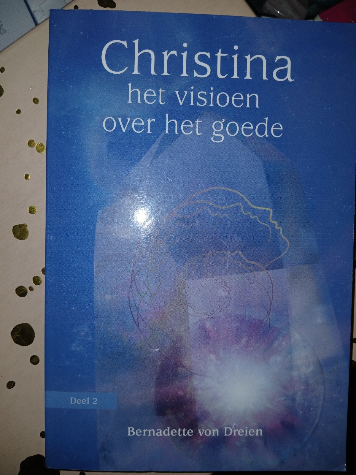 Bernadette von Dreien - Het visioen over het goede, Achtergrond en Informatie, Spiritualiteit algemeen, Ophalen of Verzenden, Zo goed als nieuw
