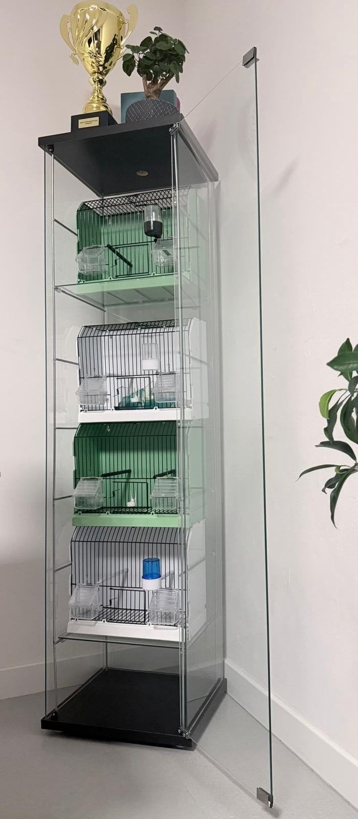 zangkooien trainingskooien stelling, Ophalen, Zo goed als nieuw, Vogelkooi