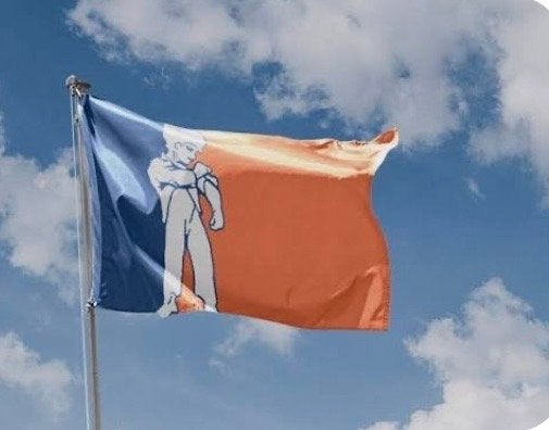 Nieuwe vlag Orania ( onafhankelijk staatje in Zuid Afrika, Diversen, Vlaggen en Wimpels, Ophalen of Verzenden