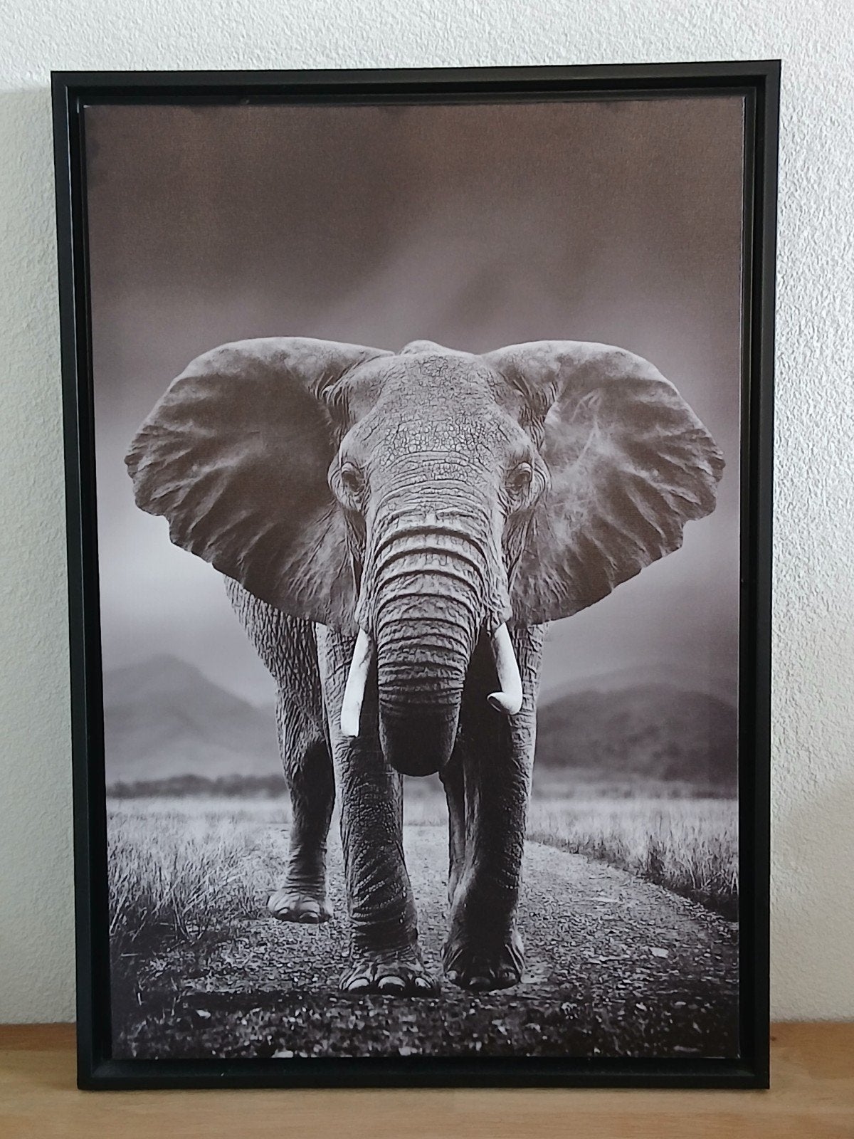Ingelijst canvasdoek met olifant, Ophalen, 50 – 75, Minder dan 50 cm, Zo goed als nieuw