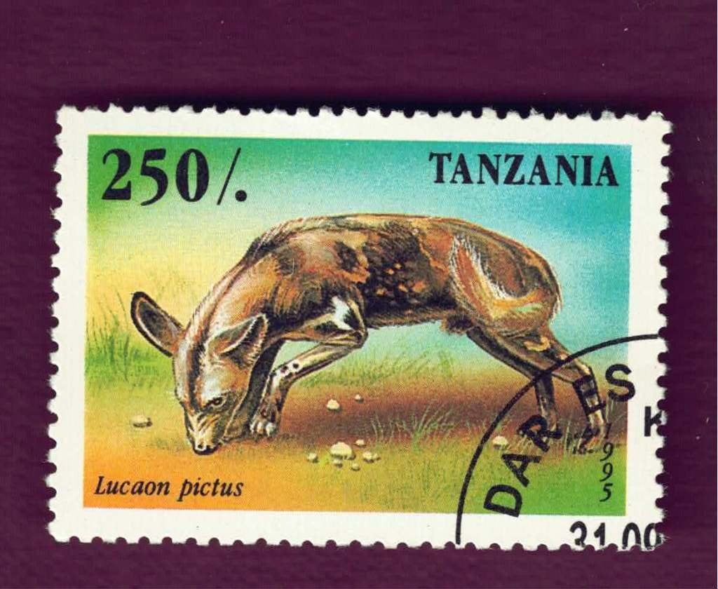 Fauna - Dieren - Afrikaanse Wilde Hond - Tanzania (3) - gebr, Ophalen of Verzenden, Gestempeld, Dier of Natuur