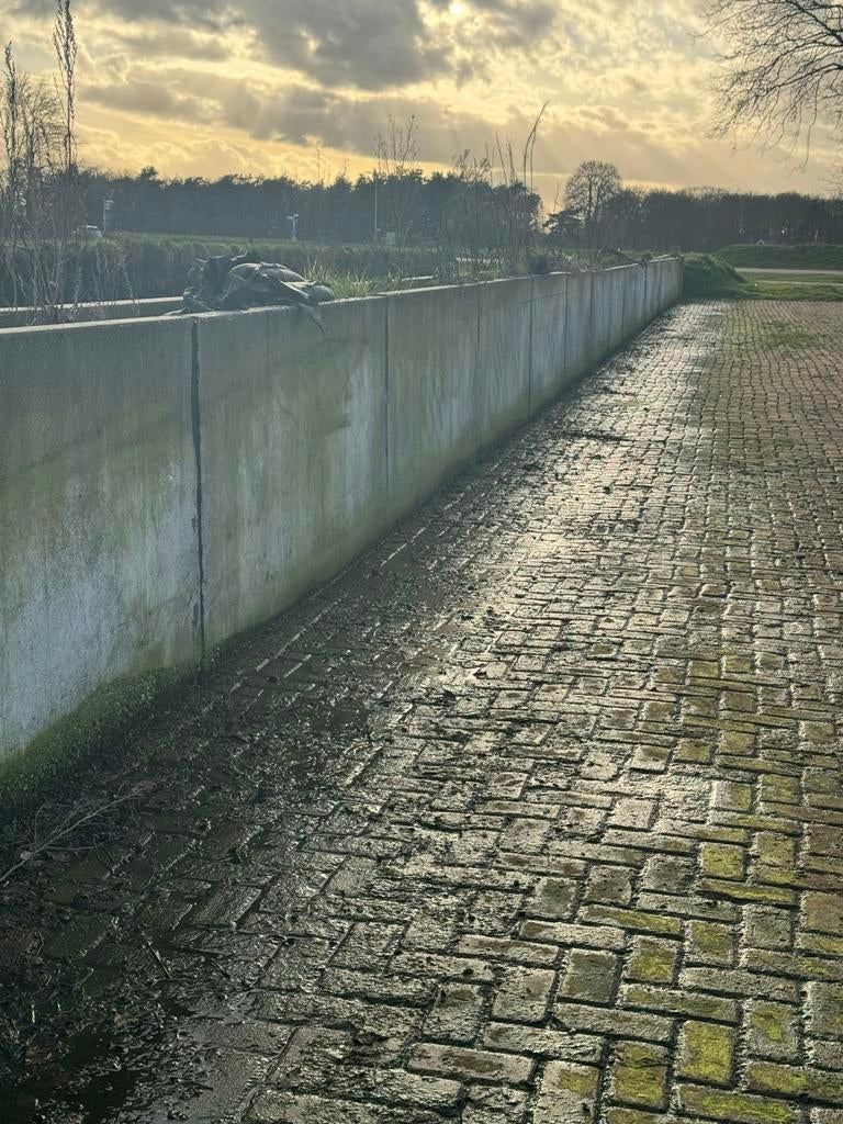 Betonnen Silowanden U-vorm, Ophalen, Vee