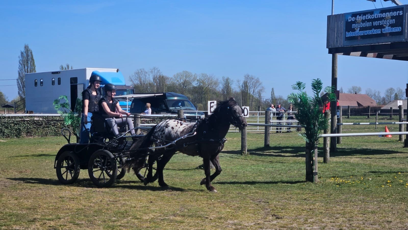 Gouden men/kinderpony, Merrie, Recreatiepaard, 3 tot 6 jaar