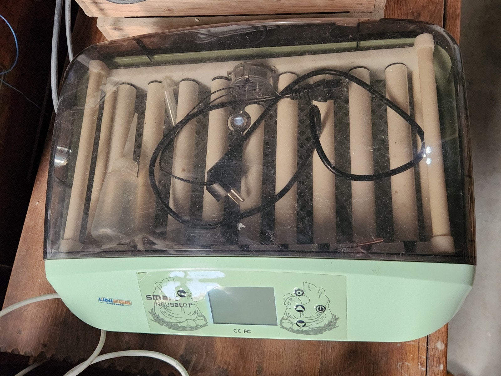 Broedmachine met beetje werk., Geslacht onbekend, Kip