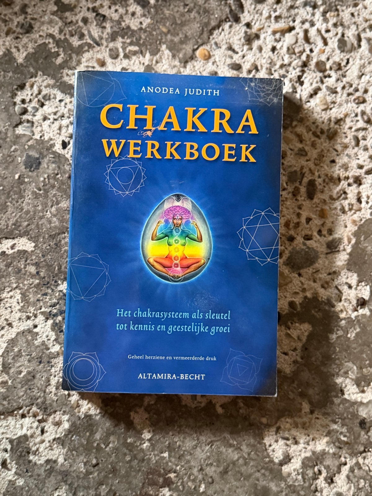 Chakra Werkboek - Anodea Judith, Verzenden, Gelezen, Spiritualiteit algemeen, Instructieboek