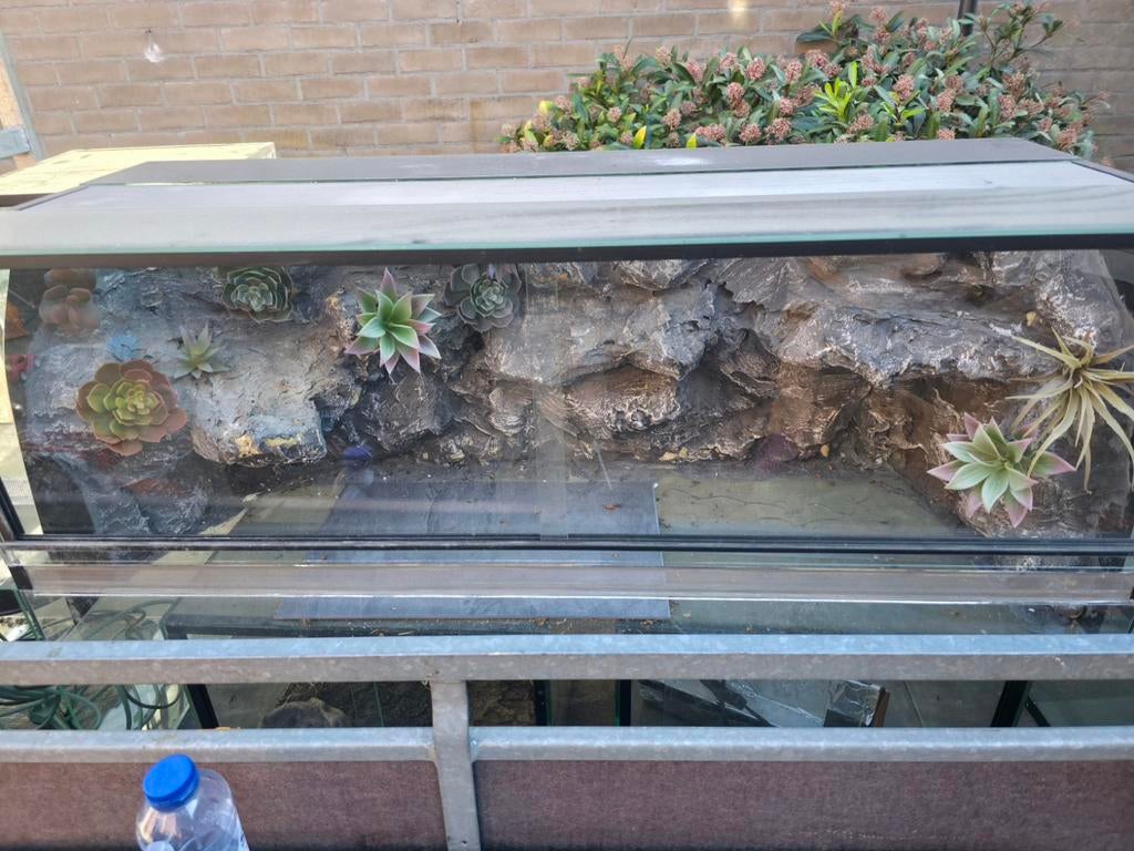 Terrarium 100x40x40 met achterwand, Dieren en Toebehoren, Ophalen of Verzenden, Gebruikt