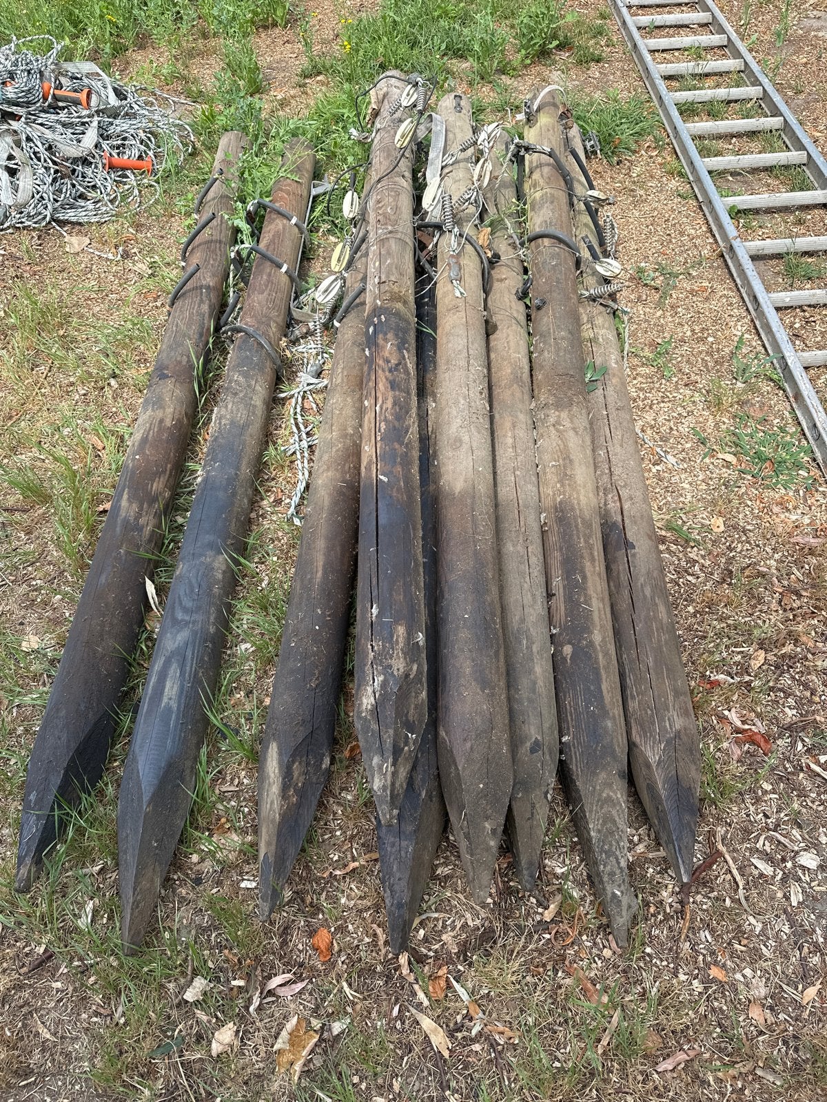 9 gebruikte weidepalen - 12 cm diameter, 250 cm lang, Tuin en Terras, Palen, Balken en Planken, Ophalen, Gebruikt, 250 cm of meer