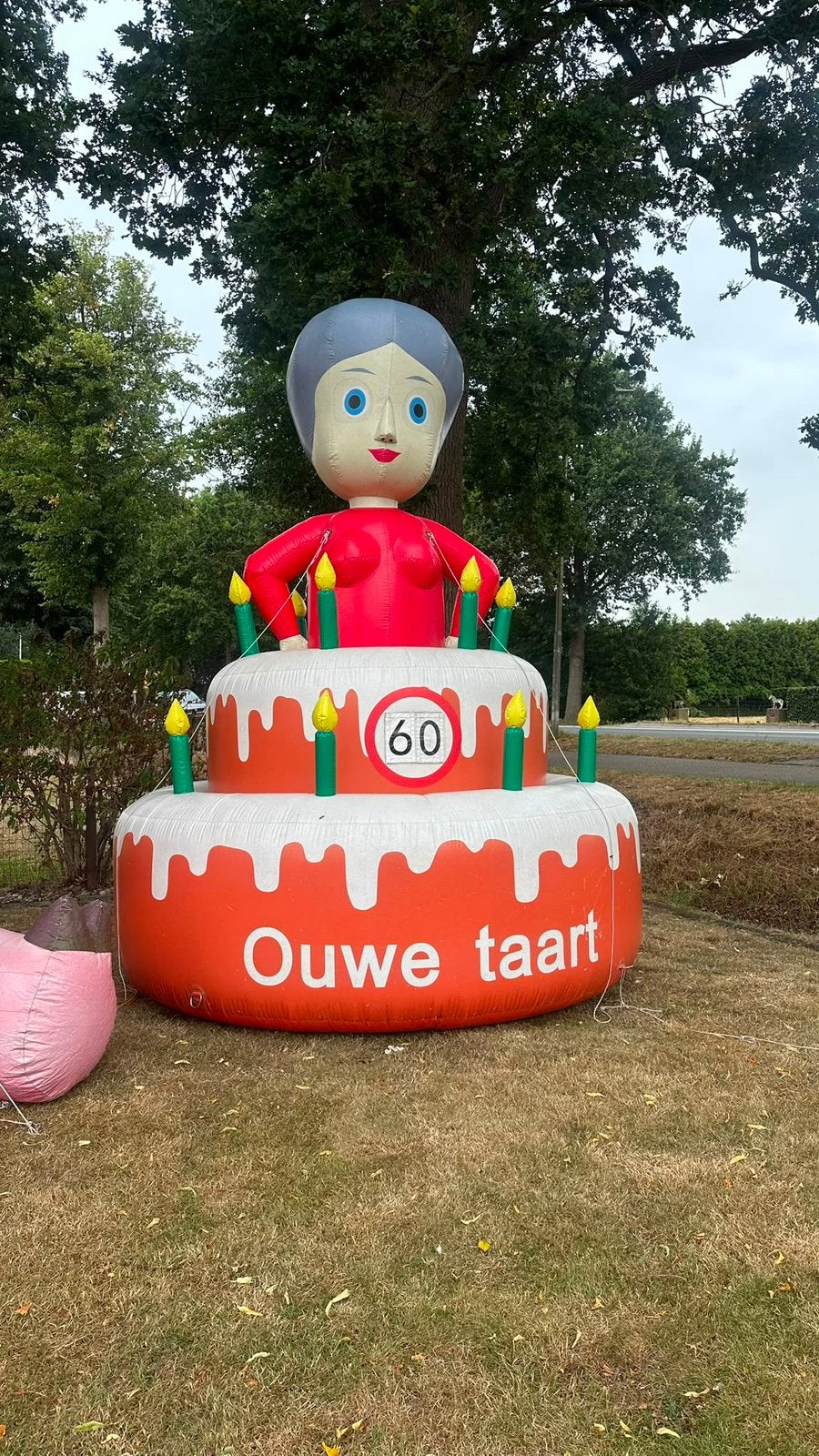 Ouwe taart te huur sarah, Ophalen, Zo goed als nieuw, Abraham of Sarah