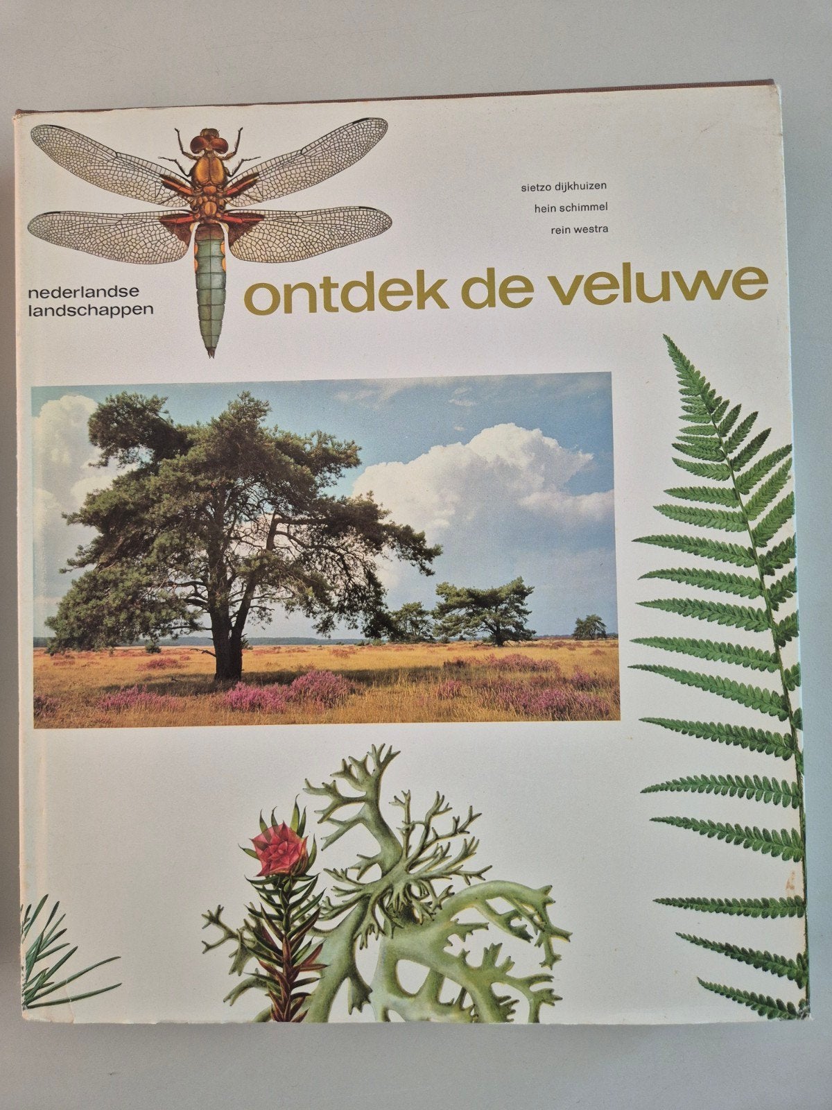 Ontdek de Veluwe - Nederlandse Landschappen, Ophalen, Gelezen, Natuur algemeen, Sietzo Dijkhuizen, Hein Schimmel, Rein Westra