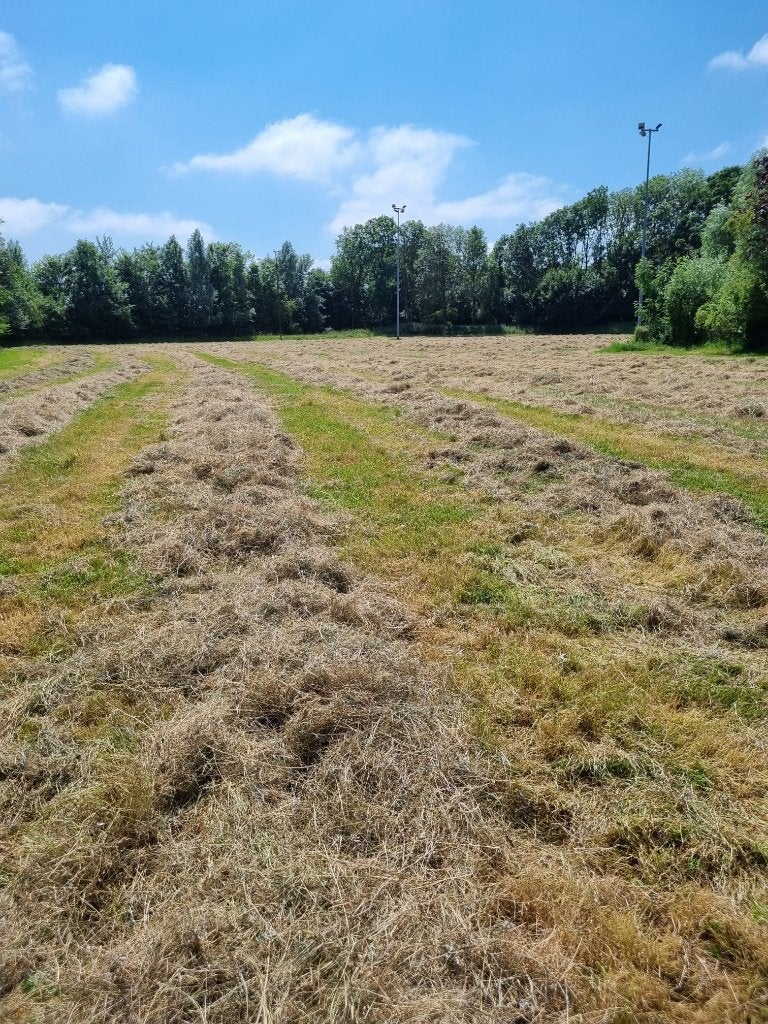 midi balen te koop voor paarden en ook wat voor schapen, Dieren en Toebehoren, Meerdere dieren, Schaap