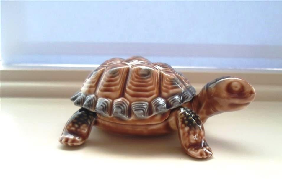 Wade Schildpad dekseldoosje. Porselein., Ophalen of Verzenden, Zo goed als nieuw, Dier
