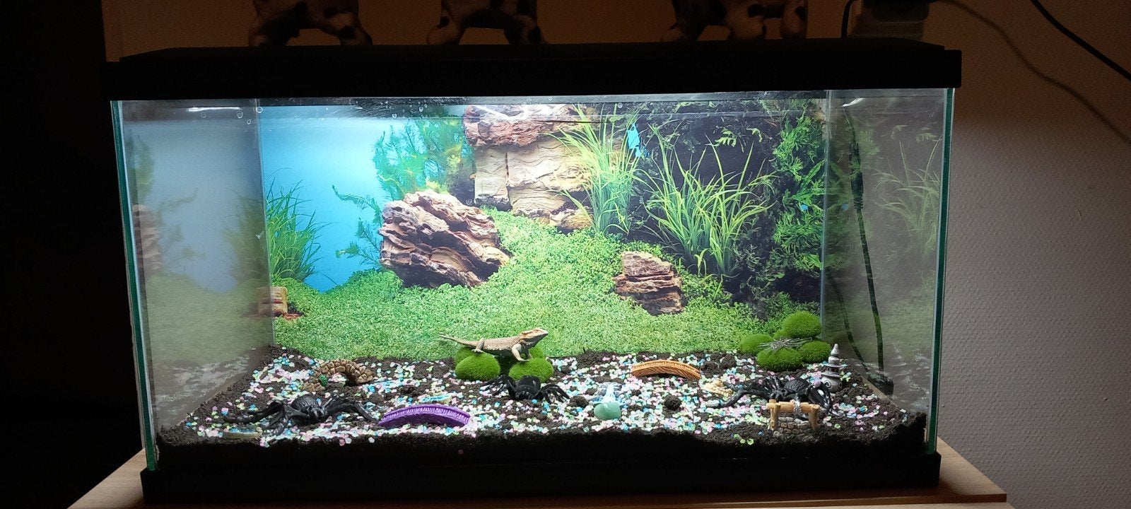gevuld aqaurium, Dieren en Toebehoren, Vissen | Aquaria en Toebehoren, Ophalen, Leeg aquarium