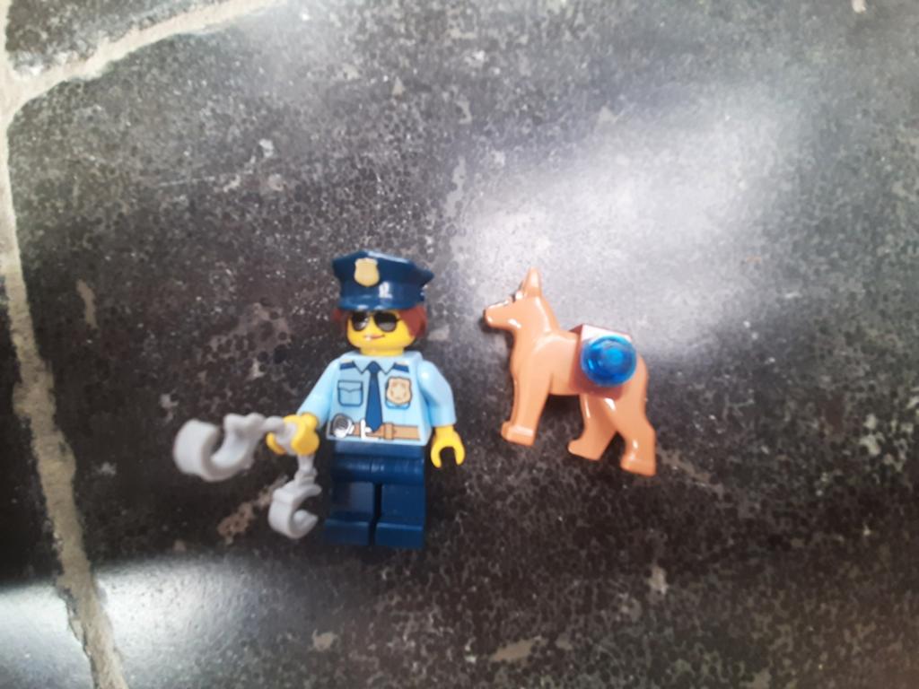 Lego poppetje en hond, Ophalen, City, Lego, Nieuw