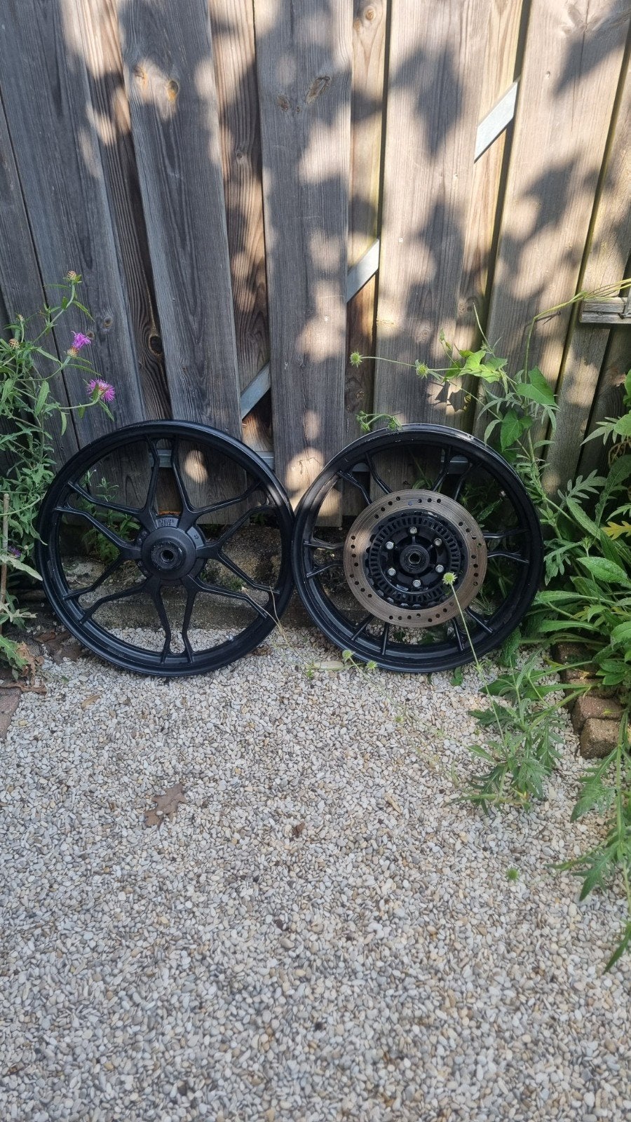 Moto Guzzi V7ii stone velgen, Ophalen, Gebruikt