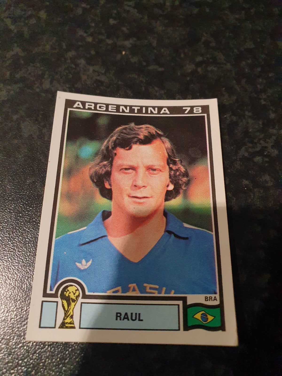 Panini Argentina 78 - Nmr 258, Ophalen of Verzenden, Zo goed als nieuw, Plaatje