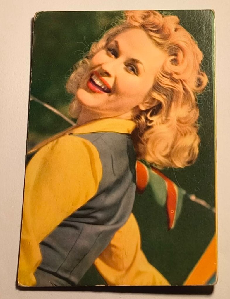 Plaatje Bibi Johns Nr.53, Ophalen of Verzenden, Zo goed als nieuw, Foto of Kaart