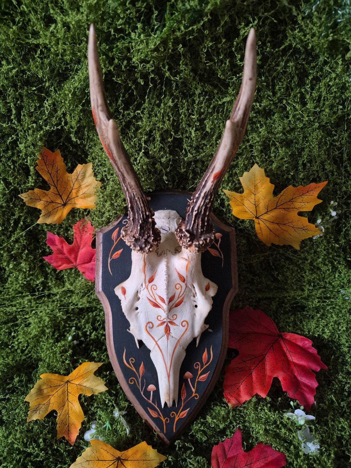 Herfstdecoratie op hert, Ophalen of Verzenden, Hert, Schedel