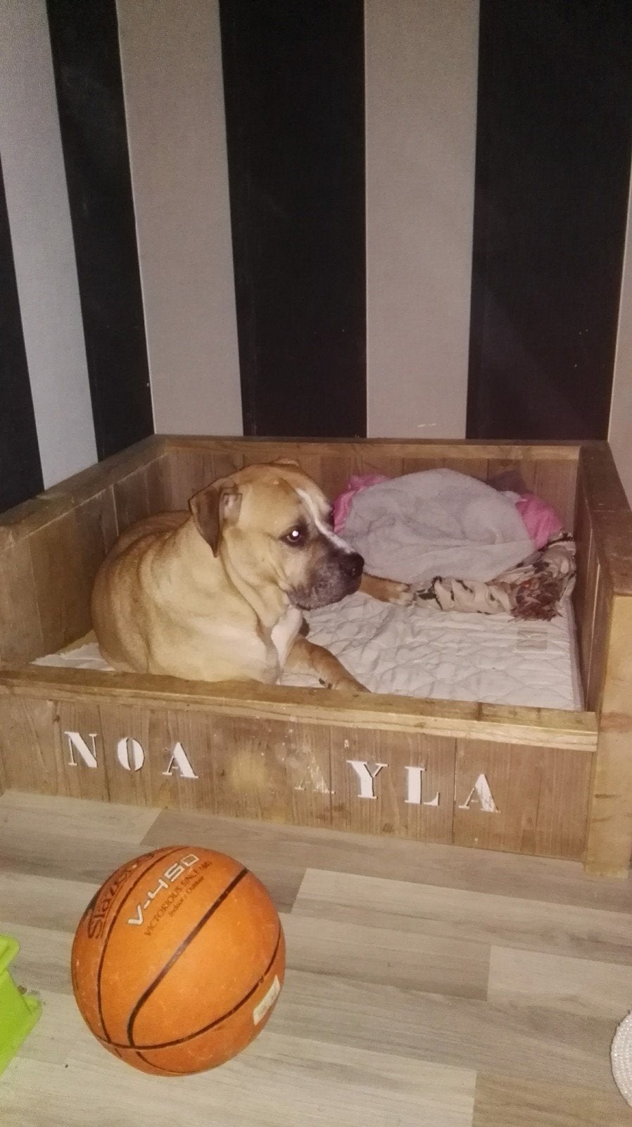 Steigerhouten honden bak gratis afhalen, Ophalen of Verzenden, Gebruikt