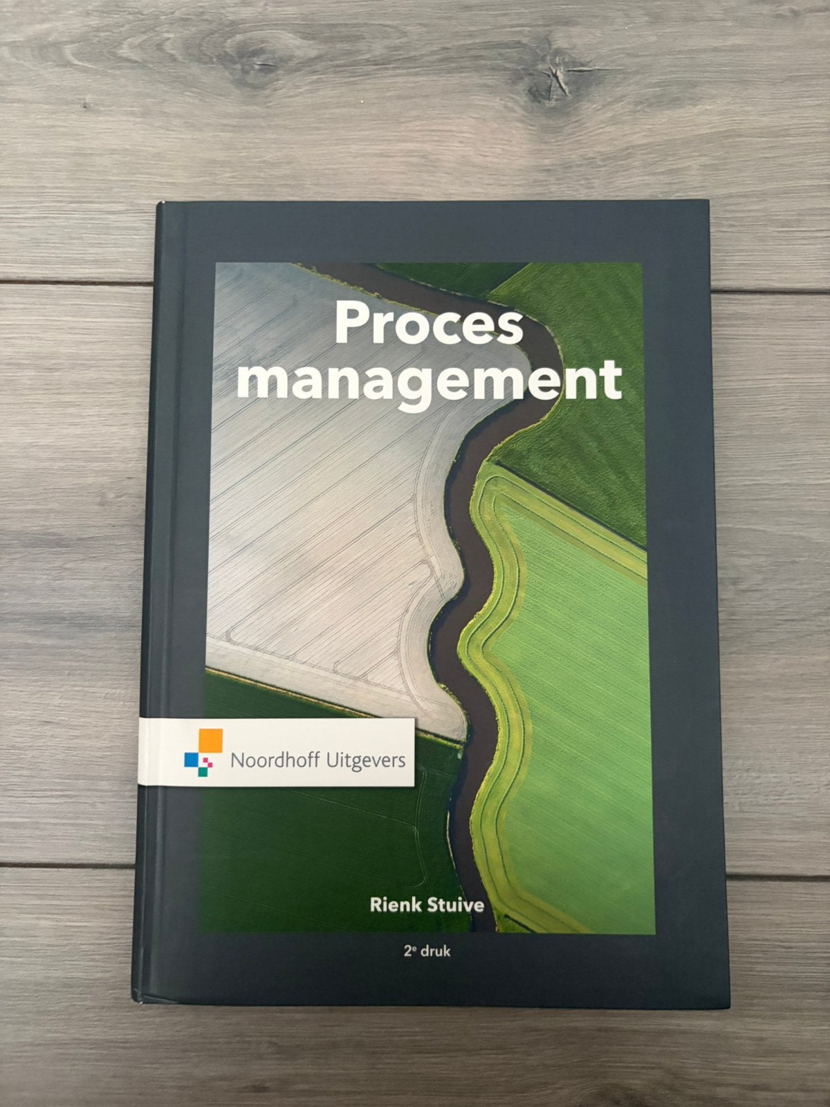 Rienk Stuive - Procesmanagement, Rienk Stuive, Ophalen of Verzenden, Zo goed als nieuw, Nederlands