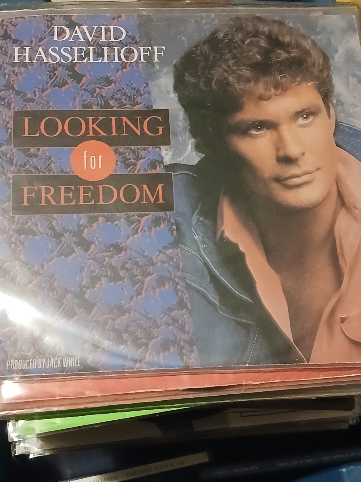 DAVID HASSELHOFF looking for freedom, Cd's en Dvd's, Ophalen of Verzenden, Zo goed als nieuw, Pop